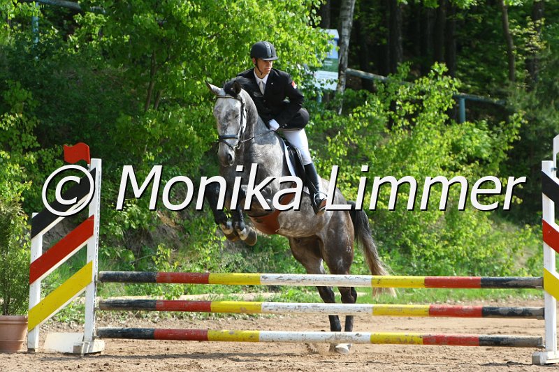 104M6196_Sir Loxley_Stil_A.JPG